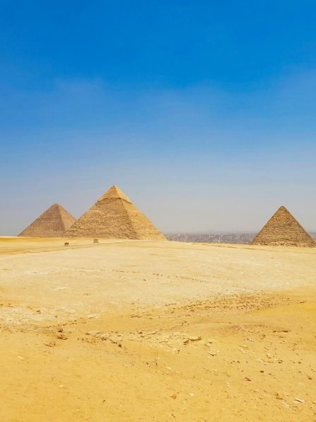 pexels-daciana-cristina-visan-2149801141-31667435